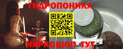 спиды Бийск
