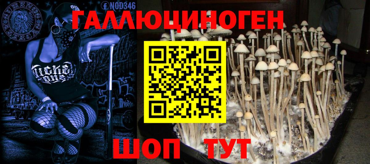 Калач-на-Дону  Галлюциногенные грибы мицелий  Вход с VPN 